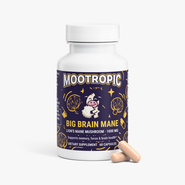 Big Brain Mane — Lion's Mane Mushroom · 1000 mg