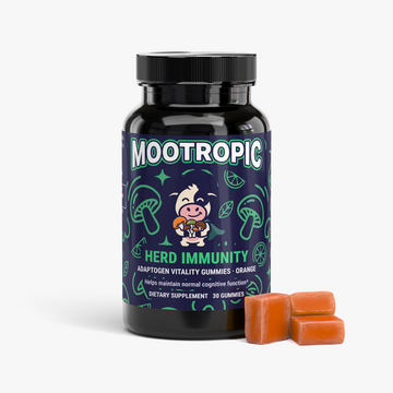 Herd Immunity — Adaptogen Mushroom Gummies · Orange